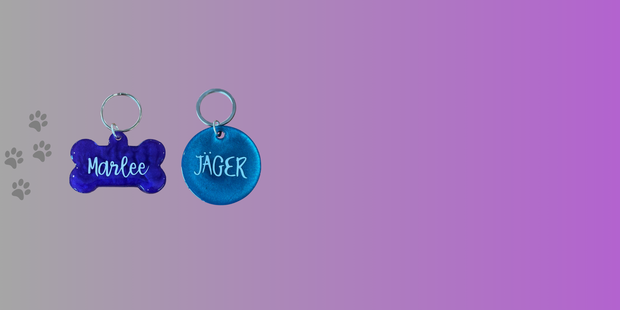 <h1>Unique Dog Tags</h1>